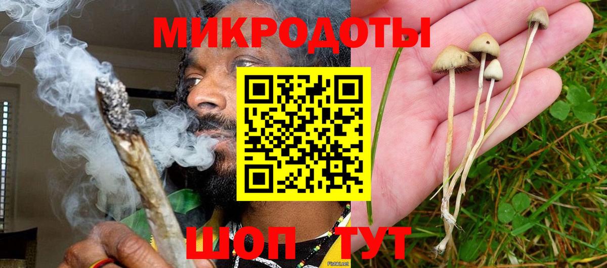 Галлюциногенные грибы GOLDEN TEACHER Киселёвск