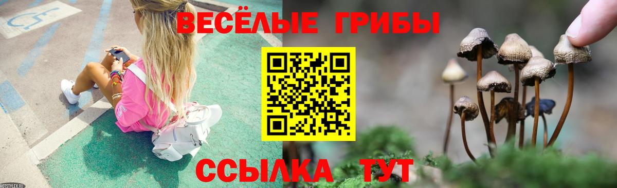 Псилоцибиновые грибы прущие грибы  Вход с VPN  Псилоцибиновые грибы Psilocybe  Киселёвск 